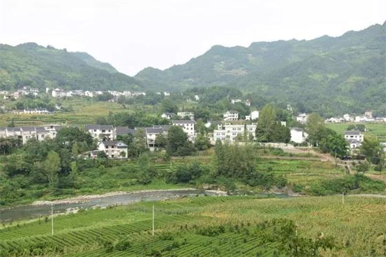 四川省鄉(xiāng)村振興將面臨哪些困難和挑戰(zhàn)?